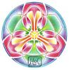 Mandala pro kůži