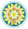 Mandala pro ledviny